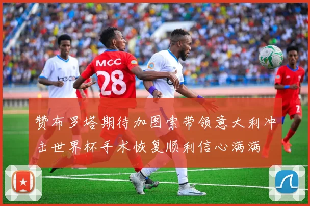 赞布罗塔期待加图索带领意大利冲击世界杯手术恢复顺利信心满满